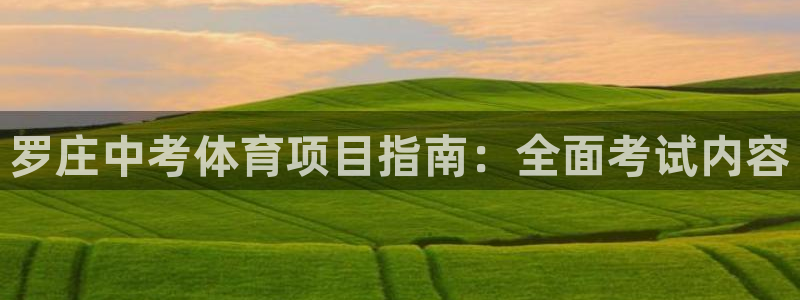 星欧娱乐属于什么档次的软件公司