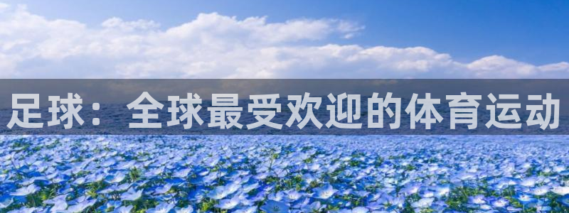 星奥娱乐微博