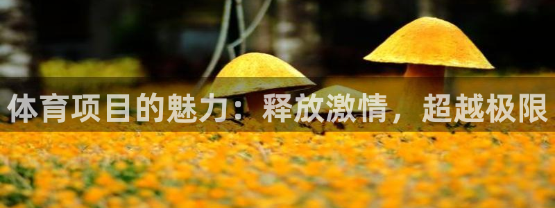 星欧娱乐发7O777