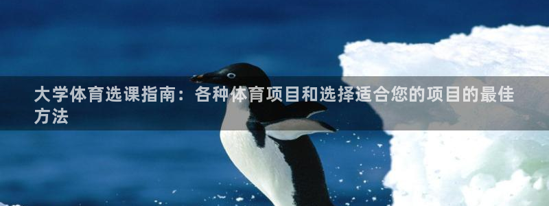 星娱乐是谁的公司