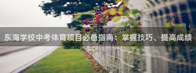 星游娱乐下载地址