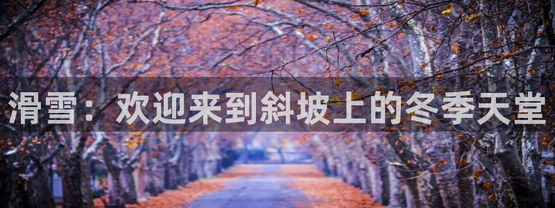 星欧娱乐法711.112怎么扣钱