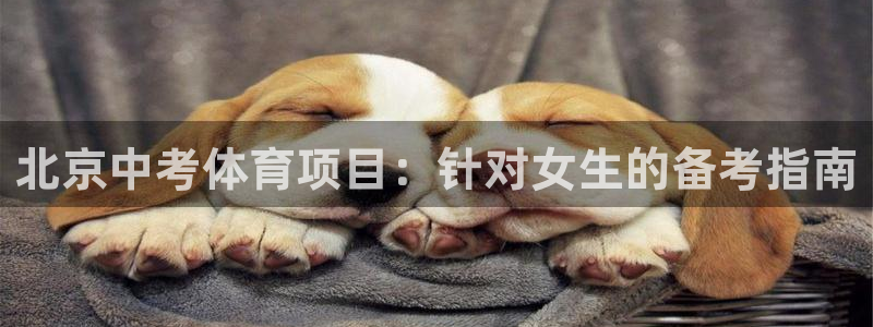 星欧娱乐联客服联系方式