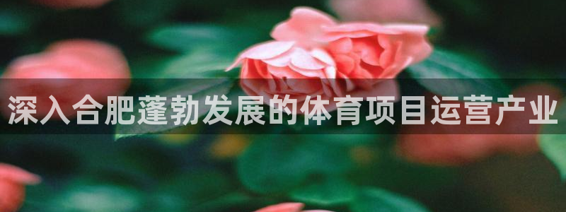 星欧娱乐