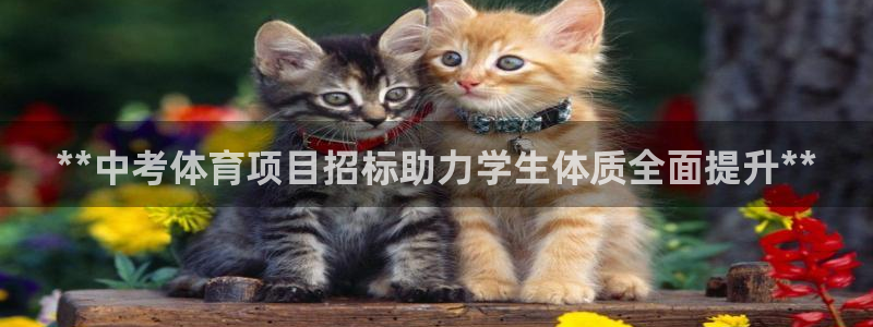 星欧娱乐挂机教程视频
