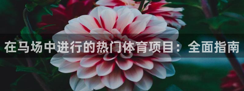 星欧娱乐平台