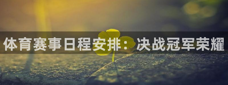 星欧娱乐扣款时间查询方法怎么查的