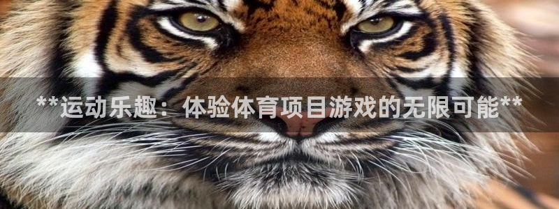 星欧娱乐平台测速线路
