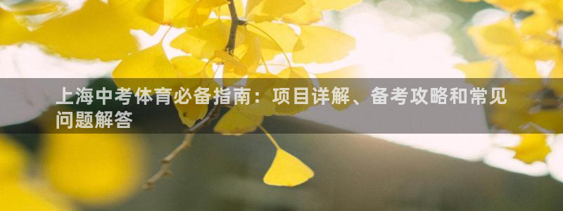 星奥娱乐集团股份有限公司招聘
