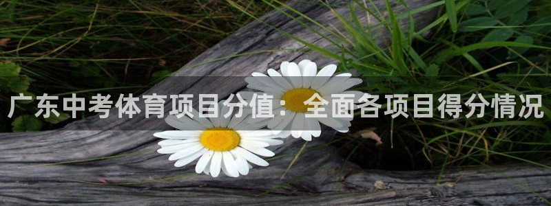 星欧娱乐扣款时间查询方法怎么查不了
