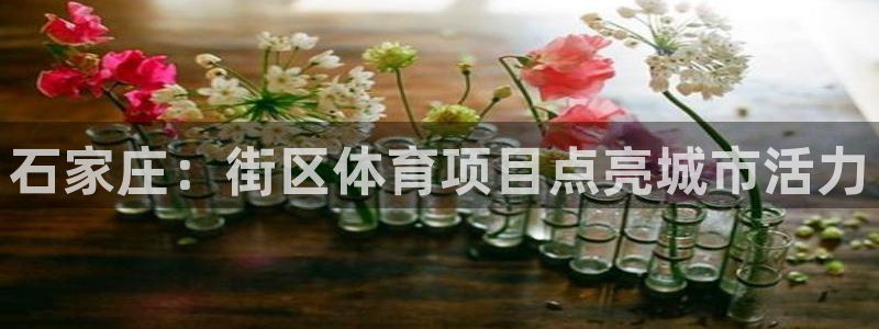星欧娱乐扣款流程详解图