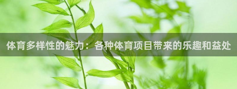 星欧娱乐公司电话号码