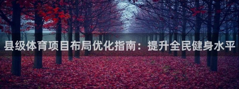 星欧娱乐公司简介