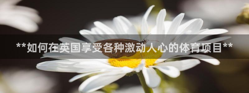 星欧娱乐联客服联系方式