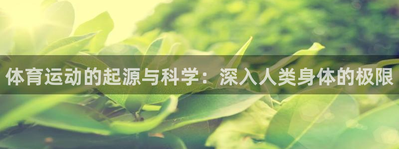 星娱乐online音乐