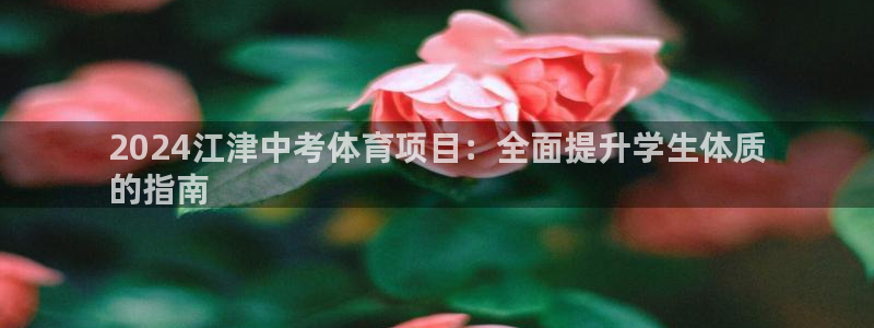 星欧娱乐扣款流程详解图