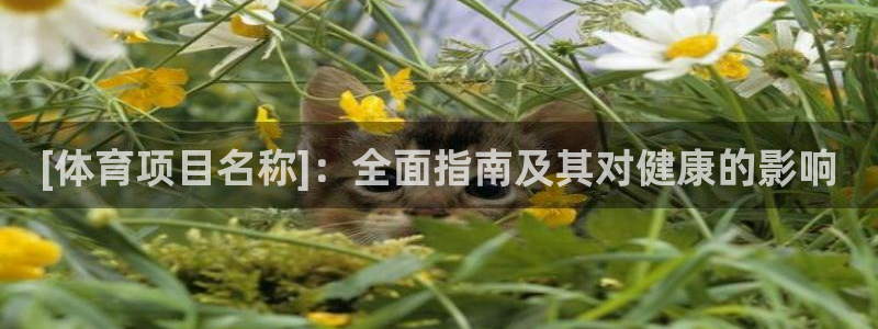 星欧娱乐平台测速线路