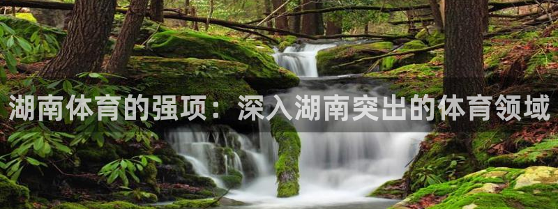 星欧娱乐属于什么档次的公司