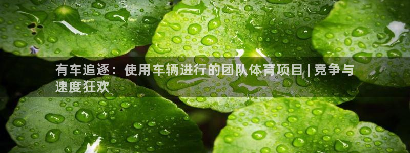 星乐娱乐