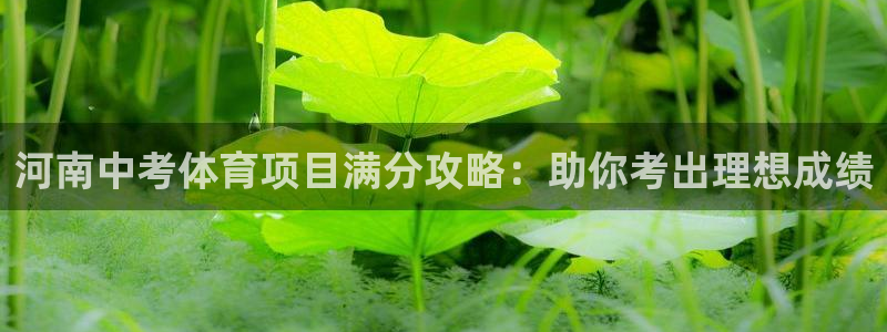 星欧娱乐平台怎么样可靠吗