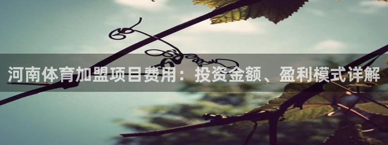星欧娱乐官方客服联系方式