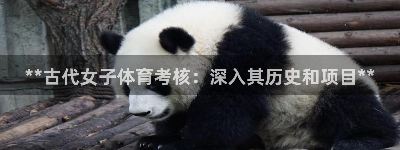 星娱乐包月是干嘛的