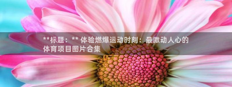 星欧娱乐扣款