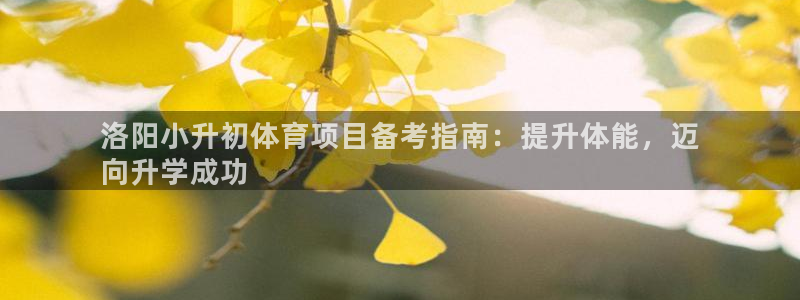 江苏星奥娱乐招艺人