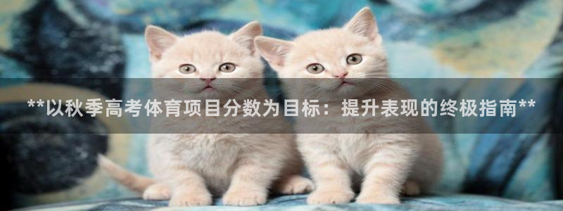 星奥娱乐怎么样