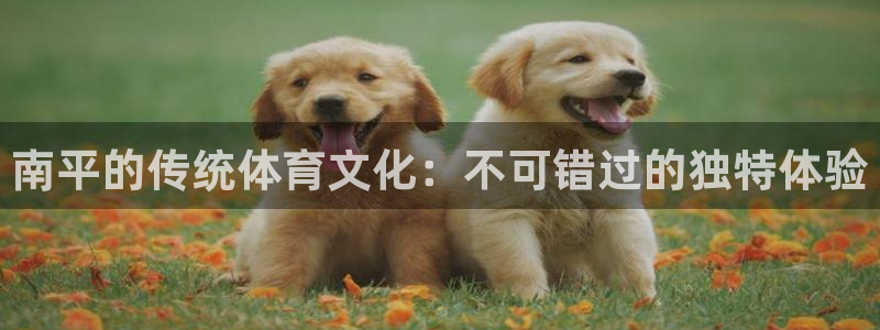 江苏星奥娱乐有限公司招聘