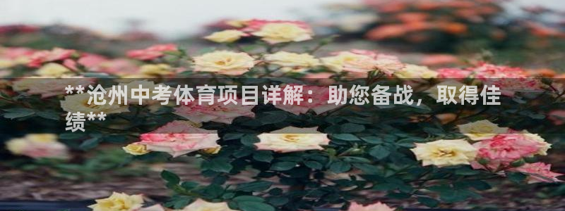 星欧娱乐是什么品牌