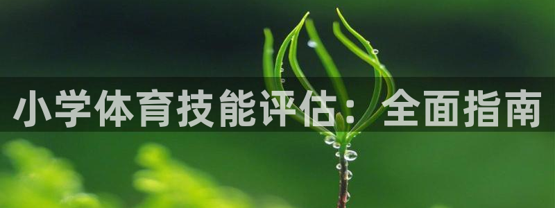 星欧娱乐扣款时间查询方法