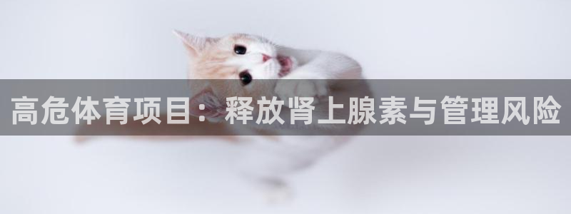 星欧娱乐公司电话号码查询
