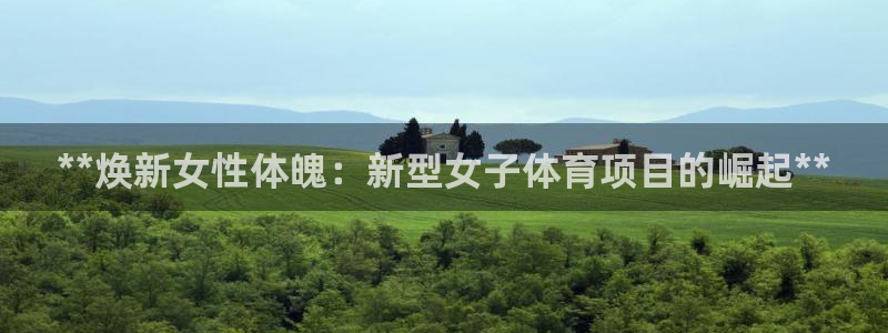 星欧娱乐扣款流程详解图片大全