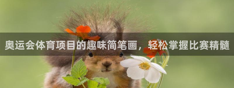 星奥娱乐集团股份有限公司怎么样