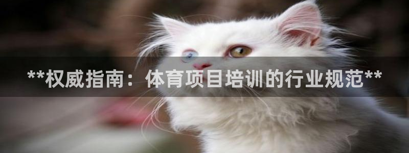 星欧娱乐雀V是什么平台