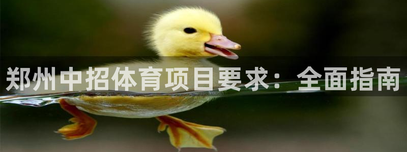 星奥娱乐待遇怎么样