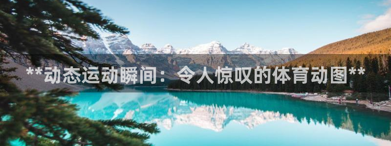 星欧娱乐属于什么档次的软件