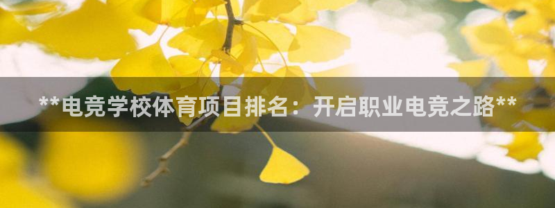 星奥娱乐招聘