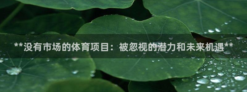澳星国际娱乐集团
