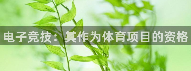 星欧娱乐挂机赚钱