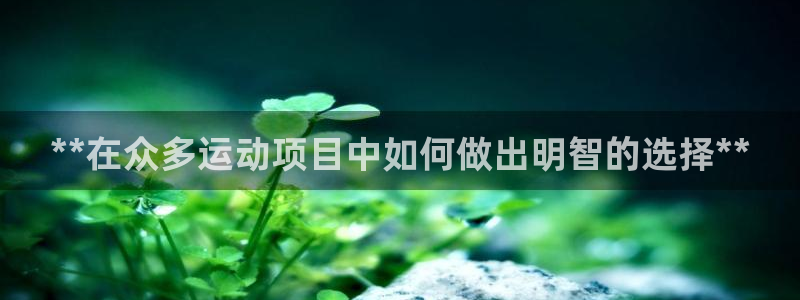 星娱乐online张译