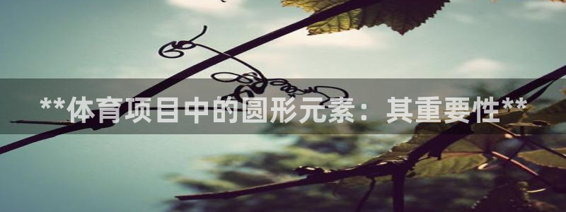 星欧娱乐扣款时间查询方法是什么