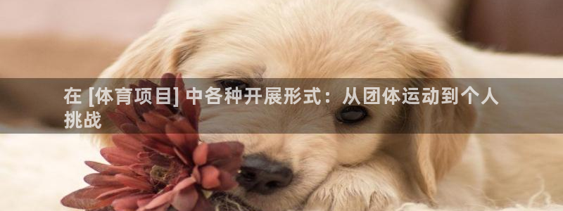 星澳娱乐公司怎么样