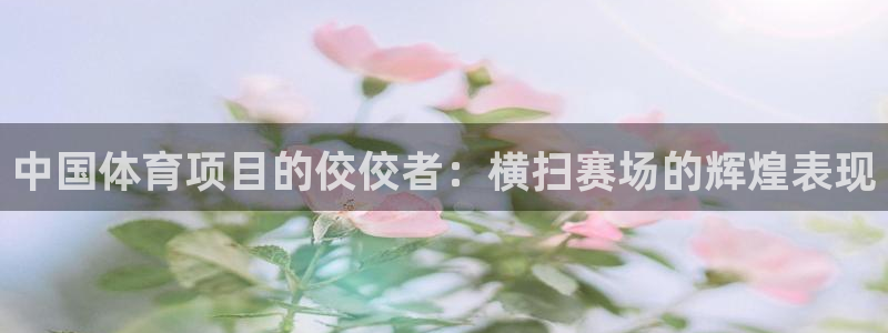 星欧娱乐联游戏评测