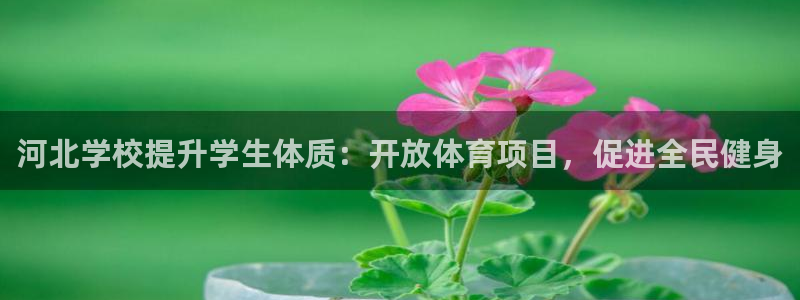 星欧娱乐平台怎么样可靠吗知乎
