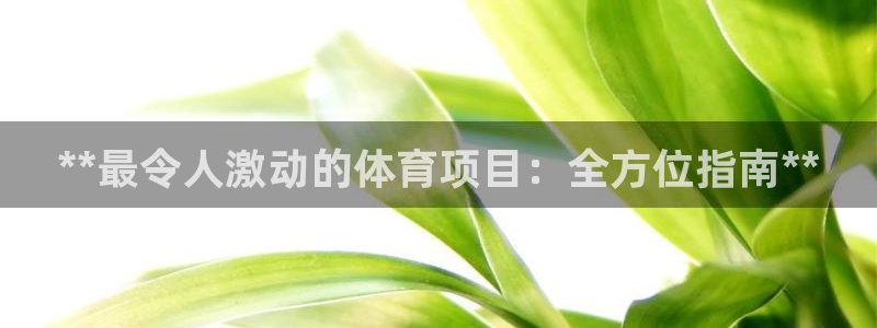 星奥娱乐怎么样