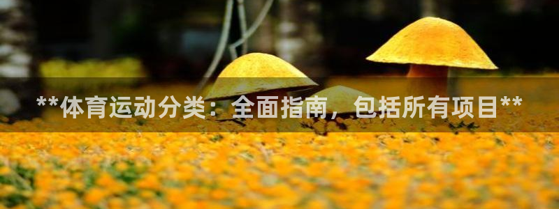 星欧娱乐公司