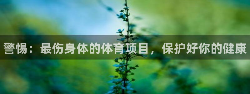 星欧娱乐是正规平台吗安全吗知乎