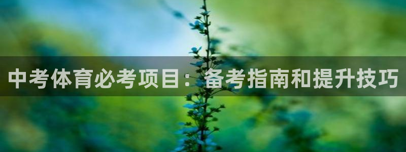 星欧娱乐联游戏评测